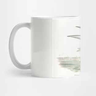 Marsh Tern (Hydrochelidon fluviatilis) Mug